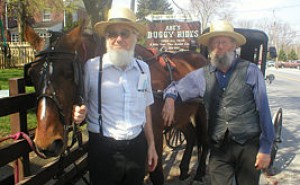 Abe’s Buggy Rides